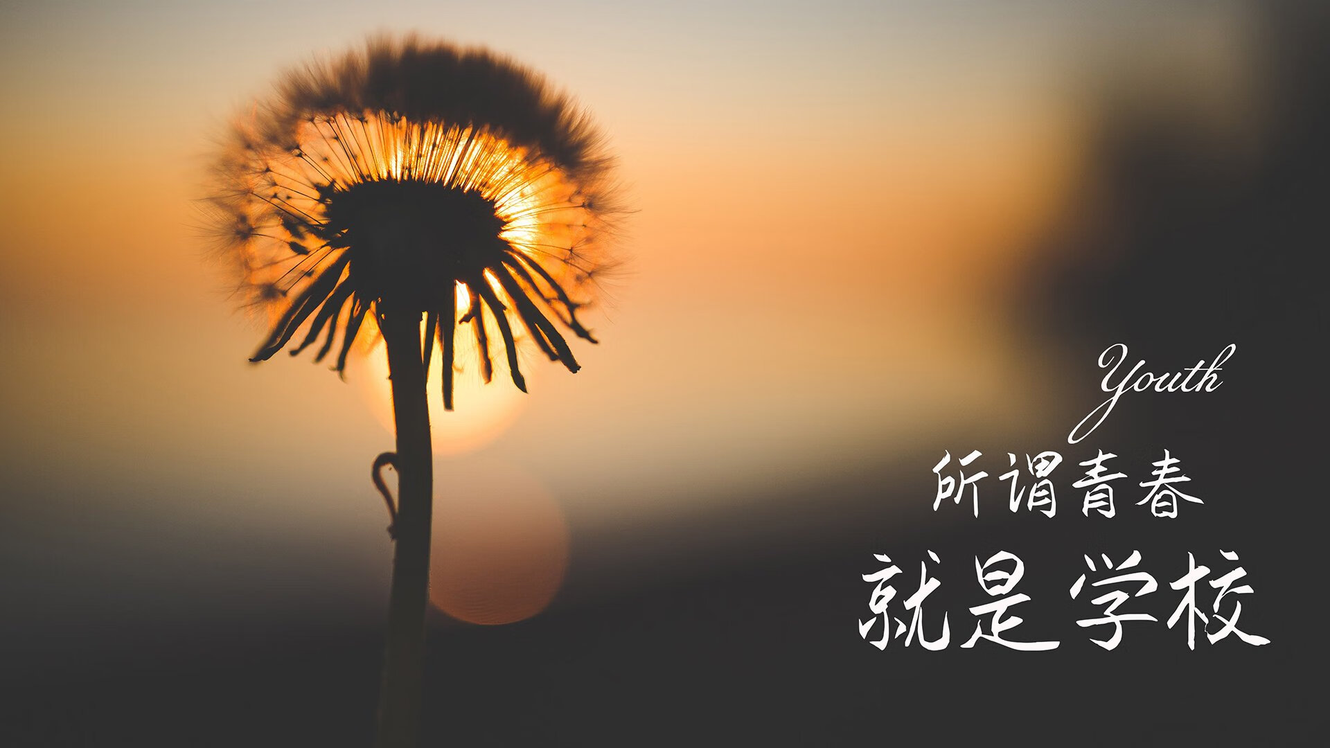 特色篮球赛事带动相关文创产品产业热潮，篮球赛创新形式