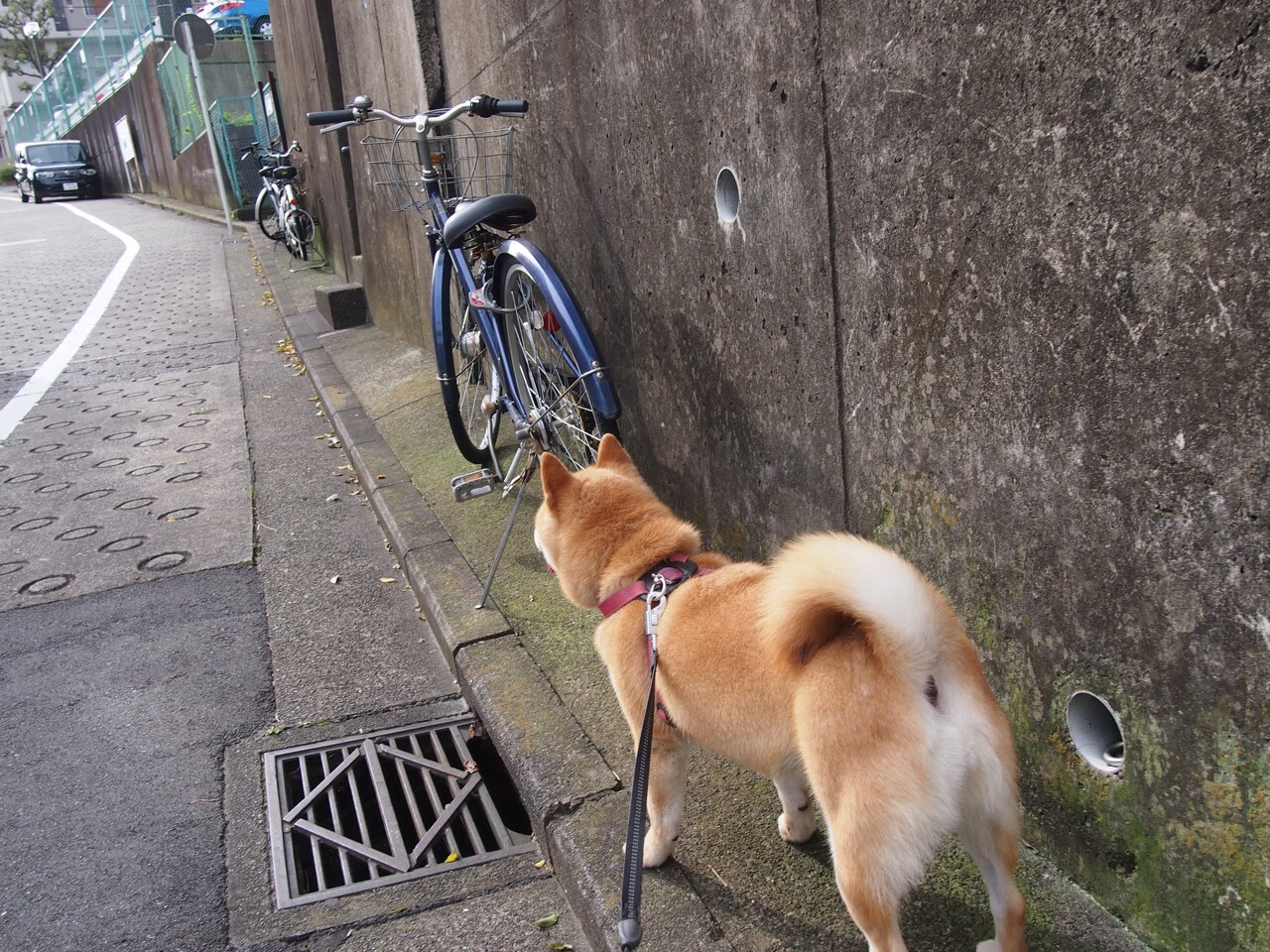 开云官网在线-欧洲杯绝地反击：逆转战局的神级表现，欧洲杯绝代