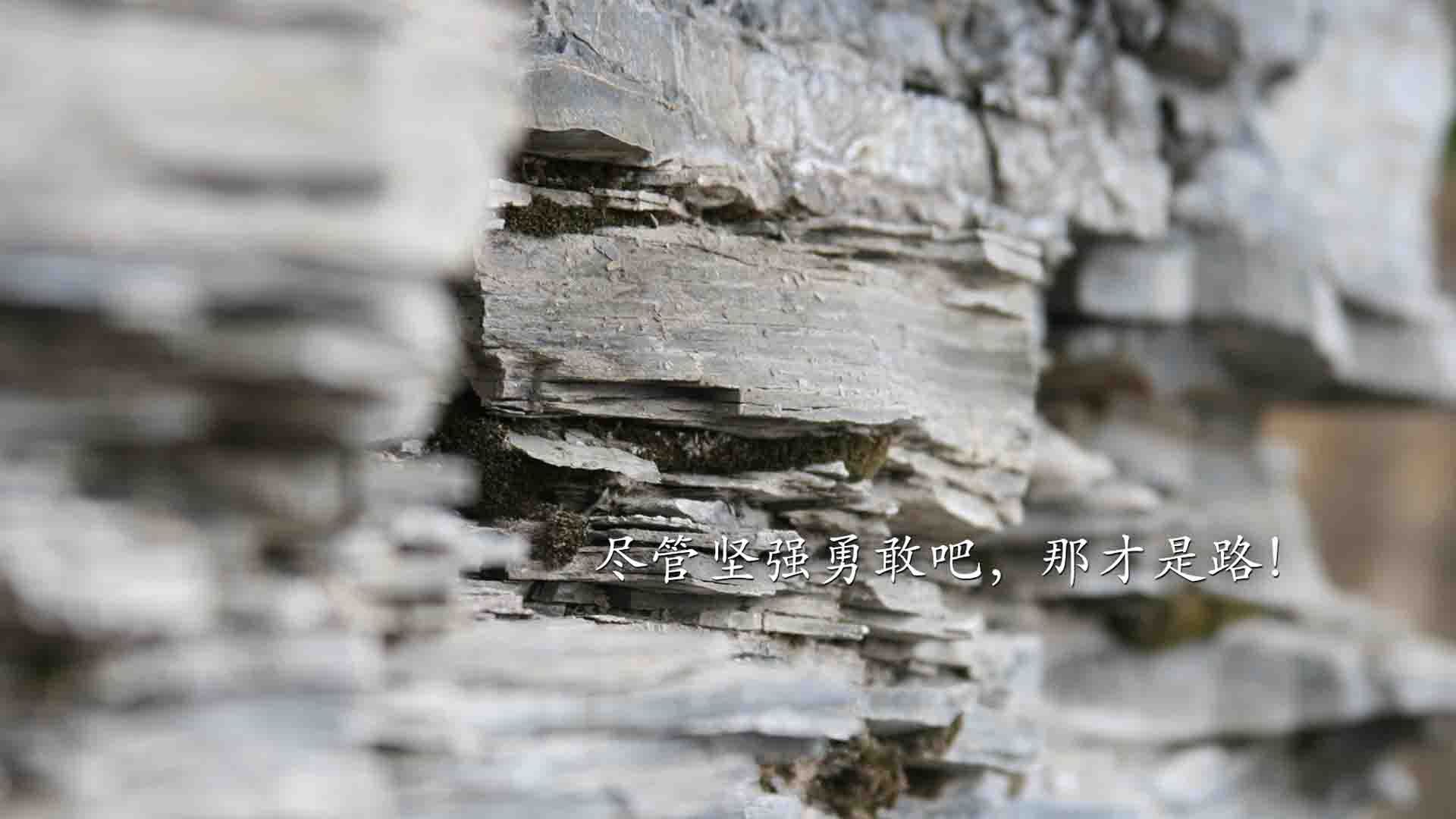 KAIYUNAPP-爱沙尼亚男篮在欧洲预赛中优势明显，迈向奥运舞台