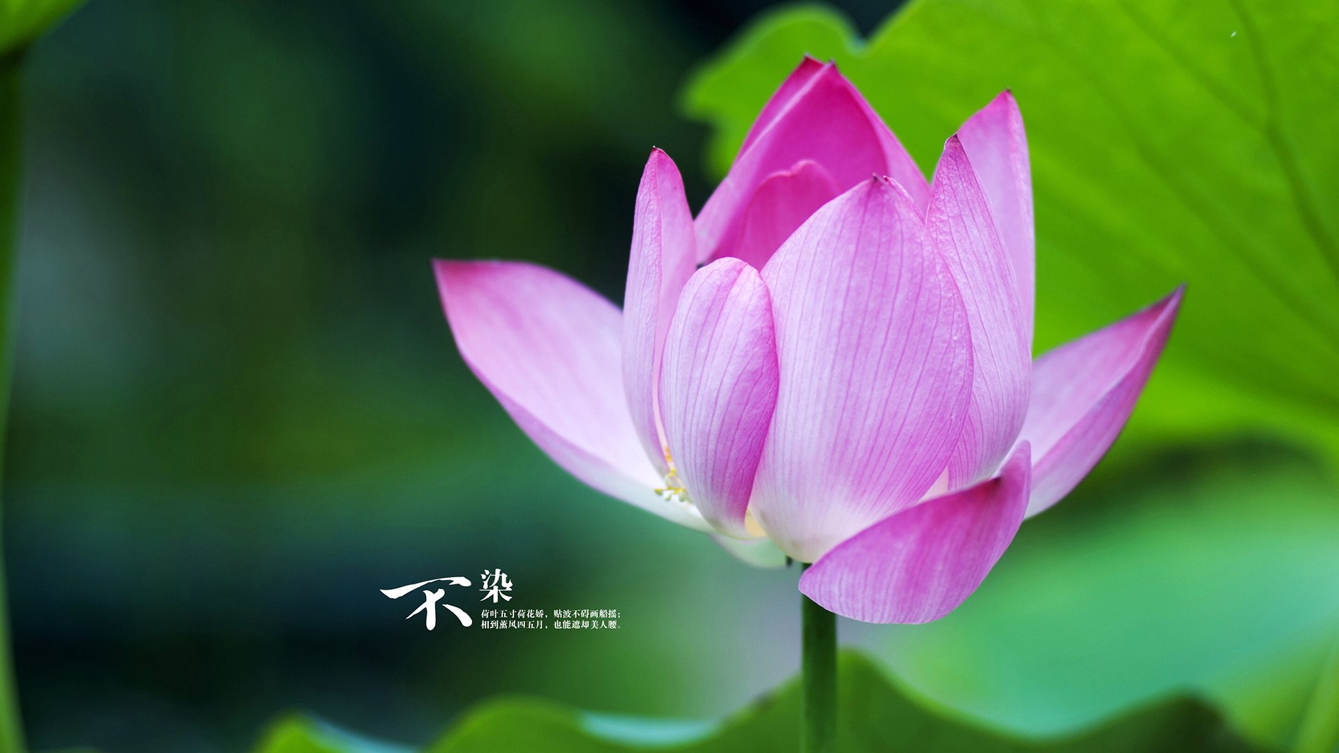 职业联赛鼓励俱乐部多场景赛事内容开发，参加职业联赛