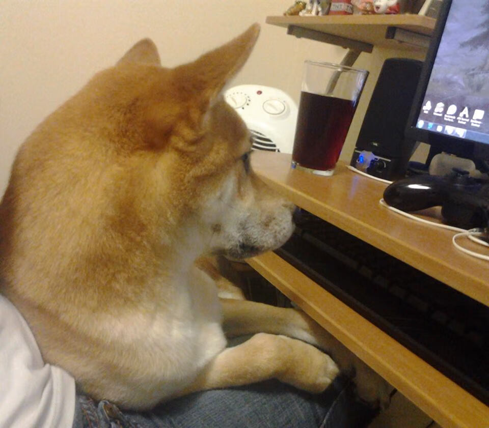 英超终极战：精彩对决每一秒都精彩！，英超精华集锦