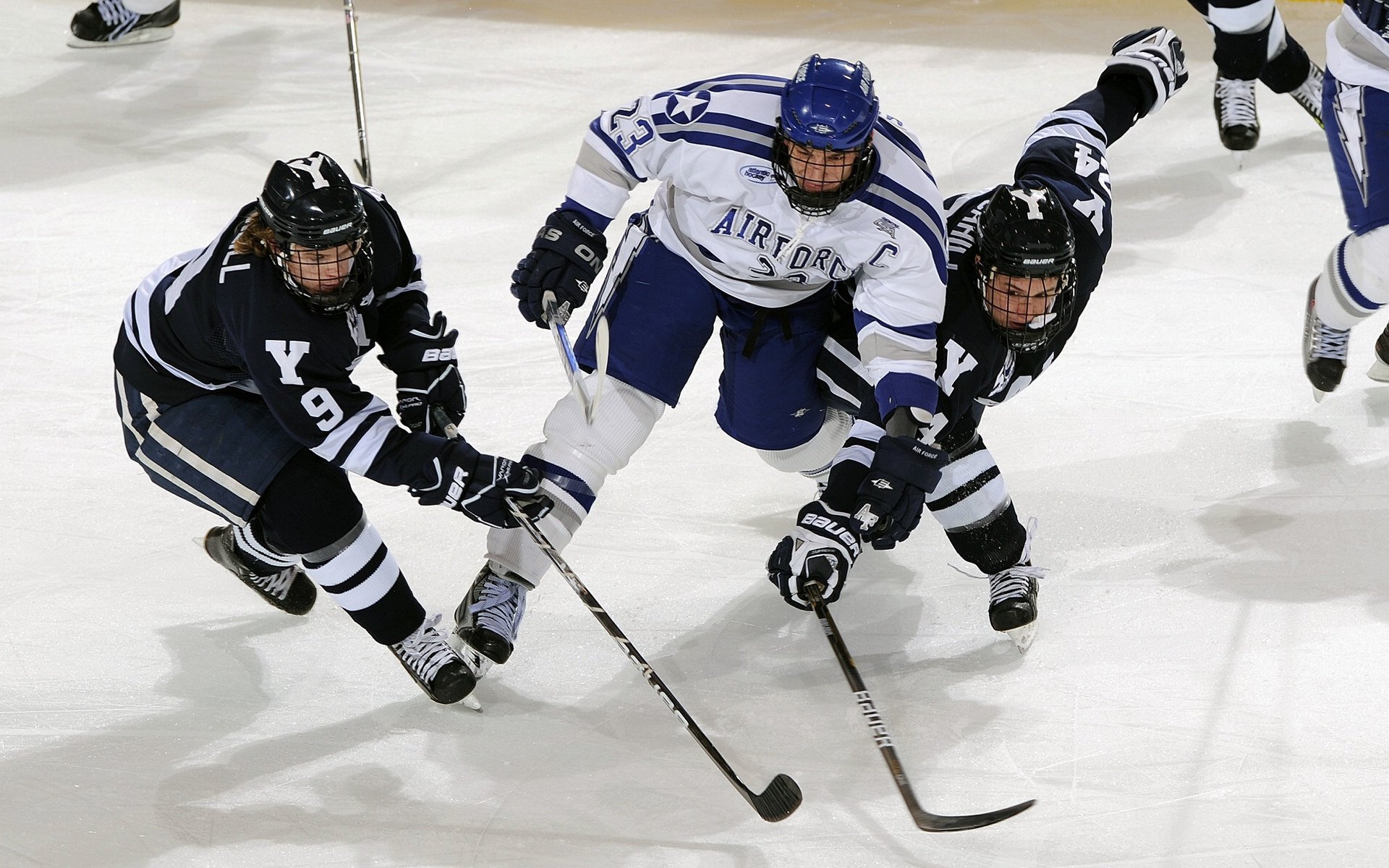“悬崖飞跃：险境中的极限飞跃”，悬崖飞人视频