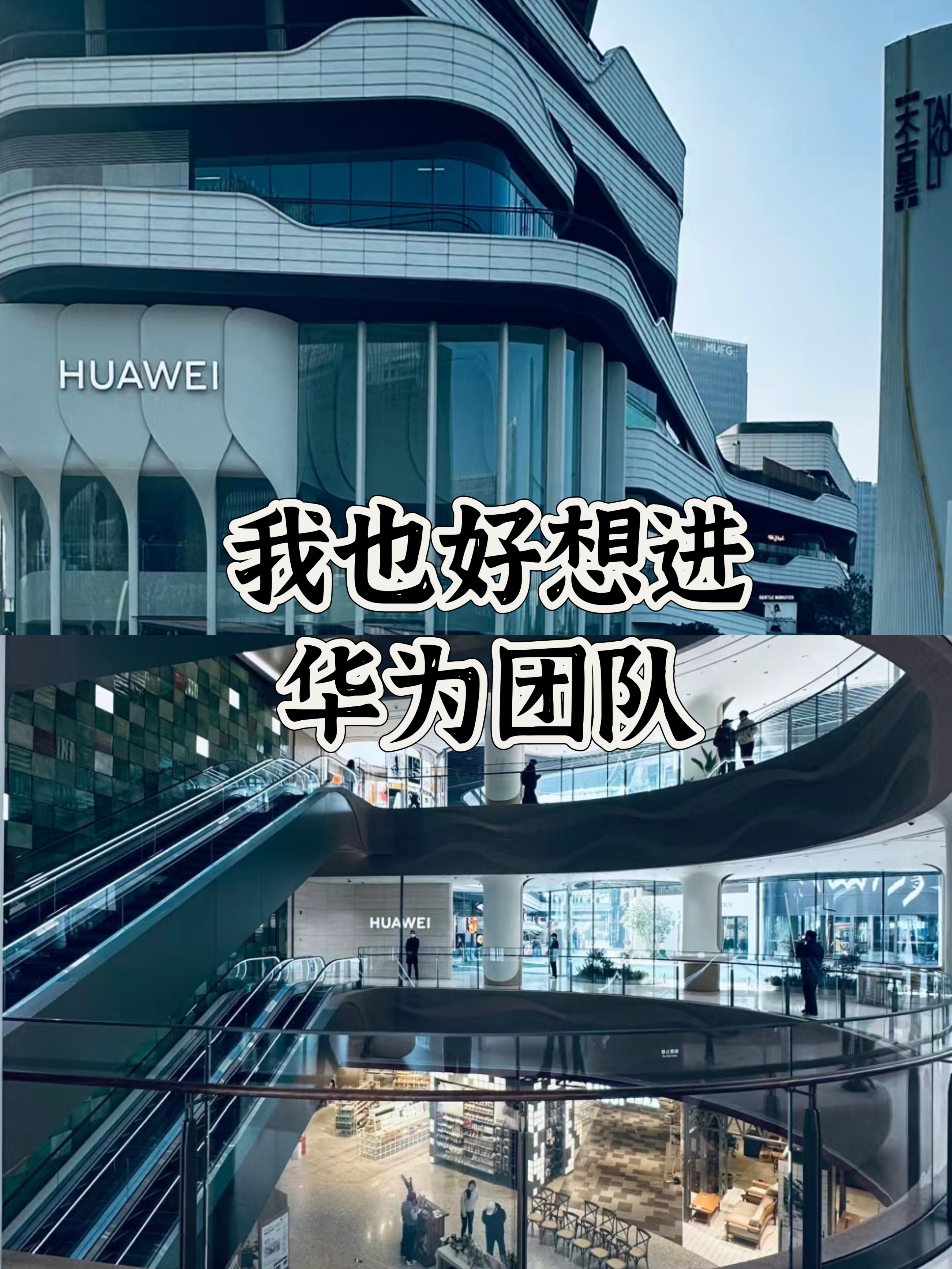 开云体育：运动员背后的支持者：家庭与团队的力量的简单介绍
